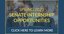 senate internship