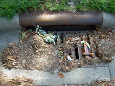 Nutrient pollution image Nutrient pollution image