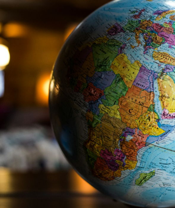 image for Should You Invest in International Stocks?