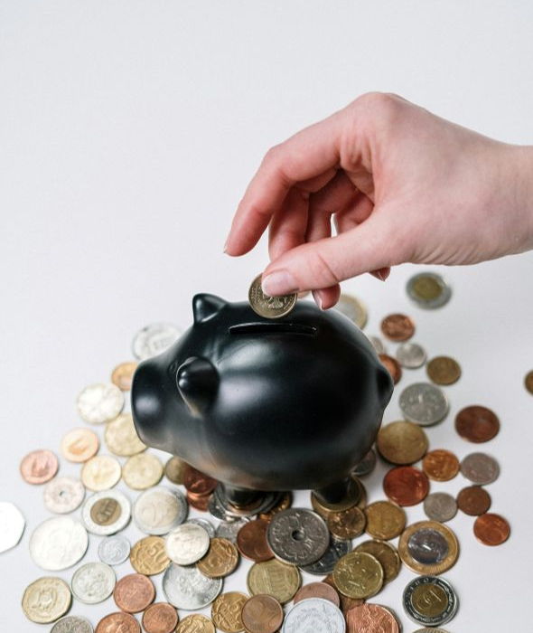 image for The 401(k) Playbook
