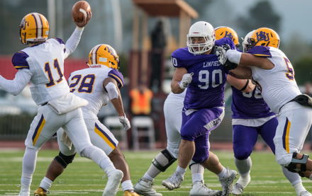 Image for Linfield's Eminence Grise
