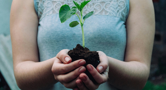 Image for Sowing the Seeds of Personal Growth From Grief