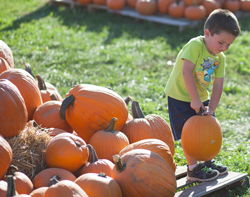 Kelsay Farms child in a pumpkin patch