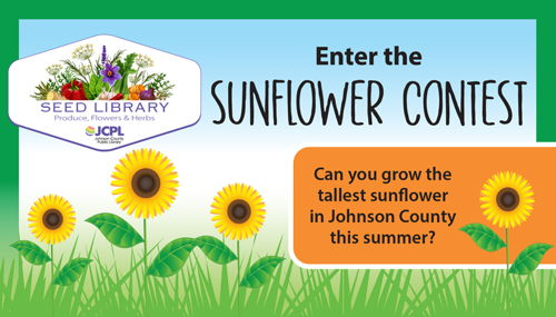 Sunflower Contest
