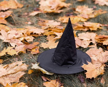 Edinburgh Halloween Festival
