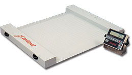 Image of Cardinal Portable Floor Scale