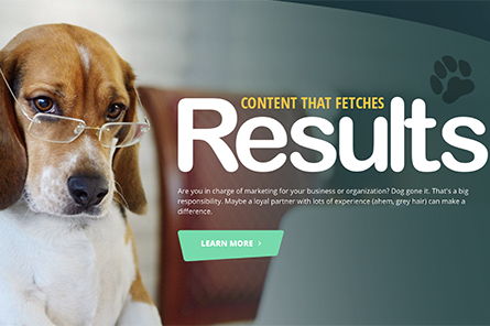 Clever Dogs Media Launches New Website Image for Clever Dogs Media Launches New Website