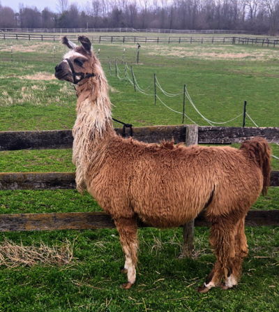 Secret to Remember Image of Secret to Remember