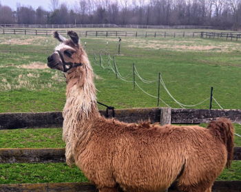 Secret to Remember Image of Secret to Remember