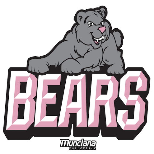 Logo for Bears