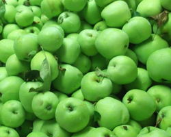 Whiteland Orchards pile of green apples