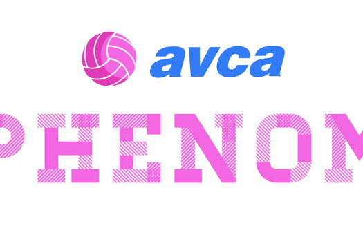 Image for 11 Athletes Earn AVCA Phenom Recognition!