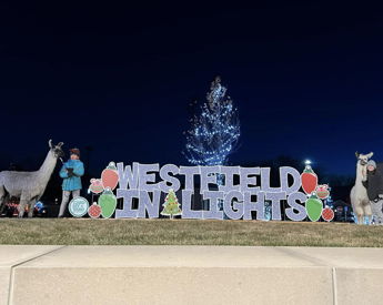 Image for Westfield in Lights
