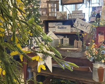 Spring Open House at Take Root Country Store