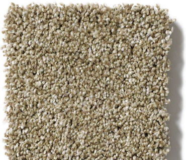 "Of Course We Can" Carpet - 00102 Biscotti