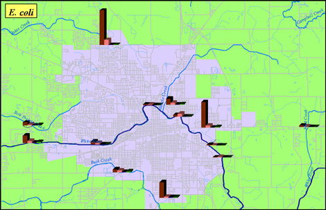 BWQ Ecoli Map image BWQ Ecoli Map image
