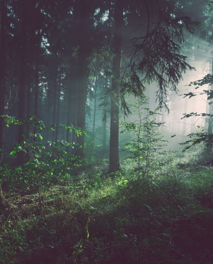 The Real Cost and Real Value of a Roth Conversion