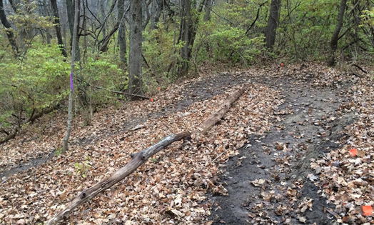 It's the Climb: $50 Million Granted A mountain bike trail at Prairie Creek Reservoir